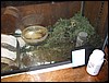 111-1116_IMG.JPG
